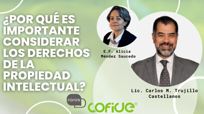 ¿Por qué es importante considerar los derechos de la propiedad intelectual