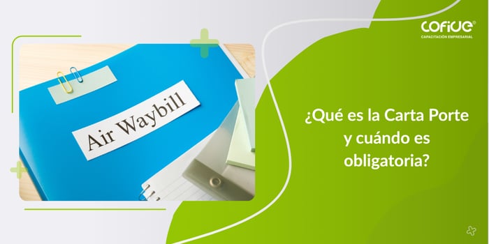 Carta porte que es
