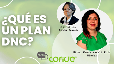 ¿Qué es un plan DNC