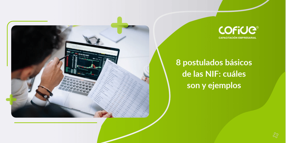 8 postulados básicos de las NIF: cuáles son y ejemplos