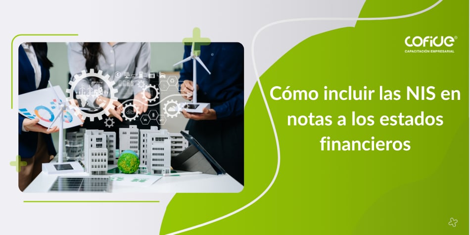 Cómo incluir las NIS en notas a los estados financieros