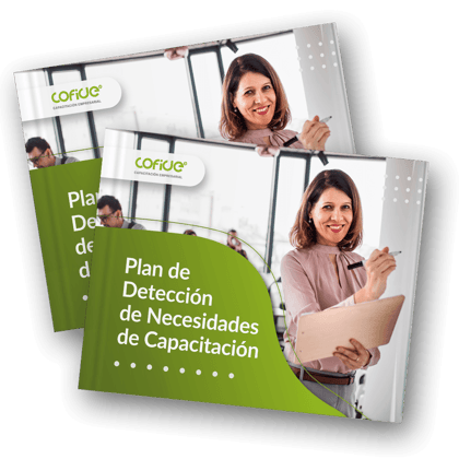 plan-de-deteccioon-de-necesidades-de-capacitacion