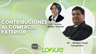 Contribuciones al Comercio Exterior