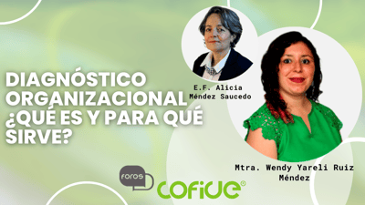 Diagnóstico Organizacional ¿Qué es y para qué sirve