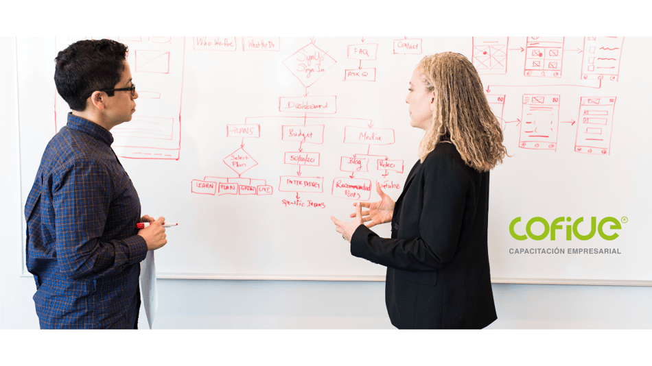 Desarrollo de equipos de trabajo en la organización.