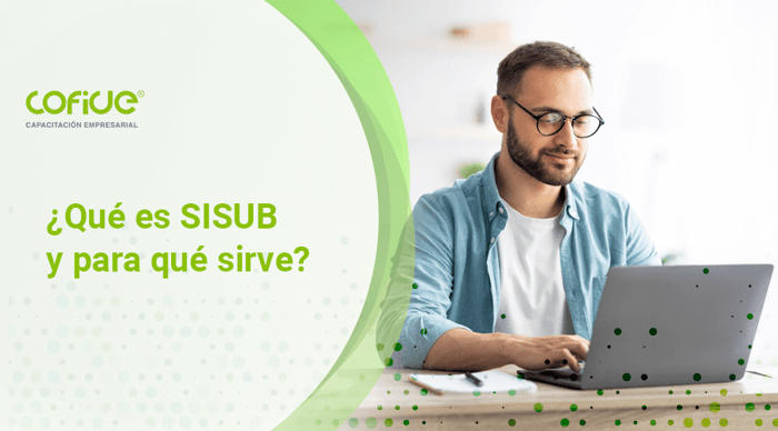 que-es-sisub-y-para-que-sirve