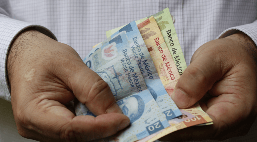 ¿Qué es el subsidio al empleo y cómo aplicarlo?