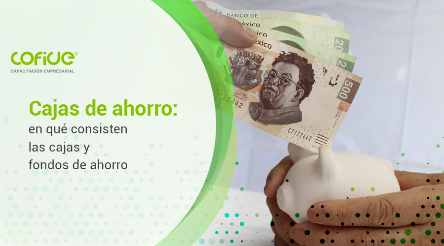 Cajas de ahorro: en qué consisten las cajas y fondos de ahorro