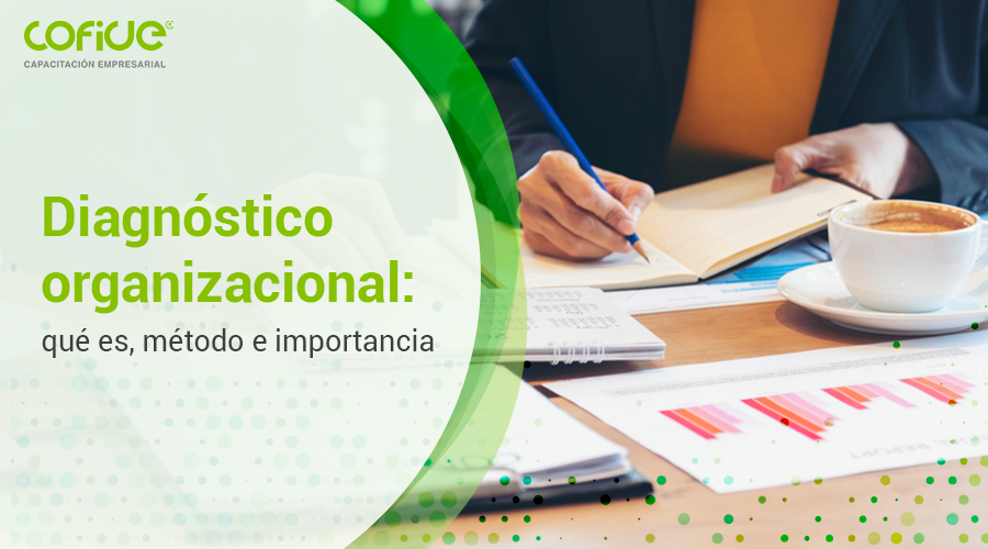 Diagnóstico organizacional: qué es, método e importancia