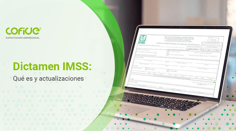 Dictamen IMSS: Qué es y actualizaciones