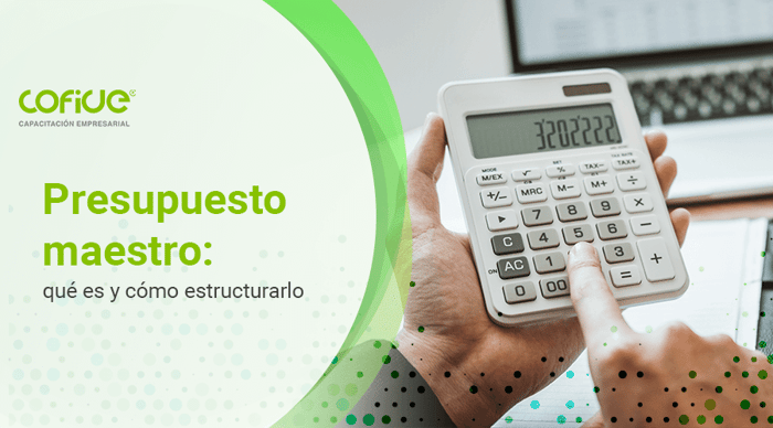 presupuesto-maestro-que-es-y-como-estructurarlo