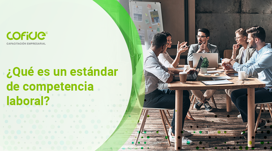 que-es-un-estandar-de-competencia-laboral