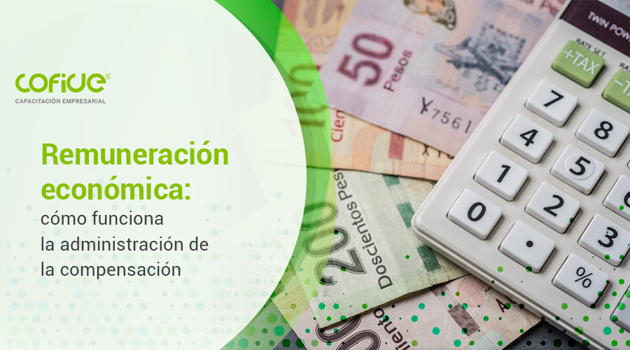 Remuneración económica: cómo funciona la administración de la compensación