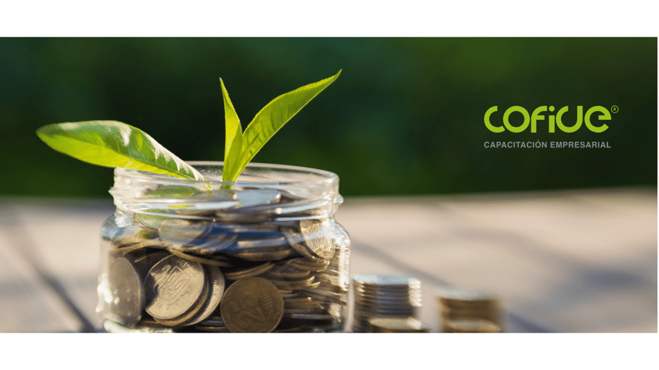 Ingresos gravados por sueldos y salarios | COFIDE