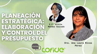 Planeación Estratégica - Elaboración y Control del Presupuesto