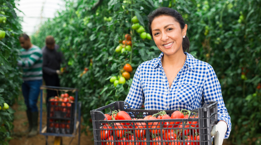 trabajadores-del-campo