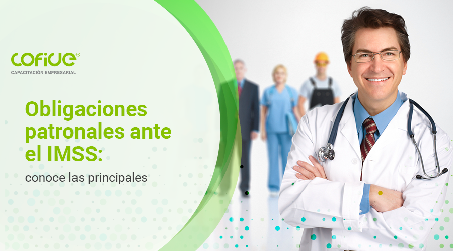 Obligaciones patronales ante el IMSS: conoce las principales