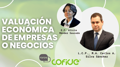 Valuación Económica de Empresas o Negocios.