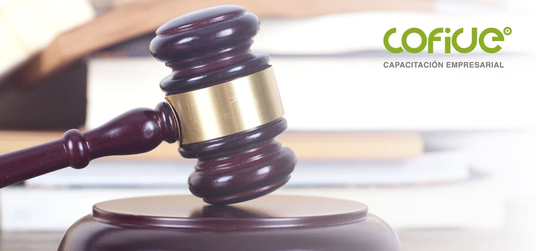 art-05-1-Que-protege-el-derecho-de-autor-y-cuales-son-sus-caracteristicas