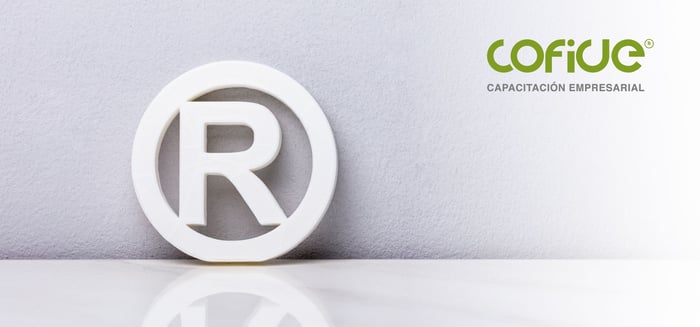 art-06-1-Todo-lo-que-debes-saber-del-registro-de-marca