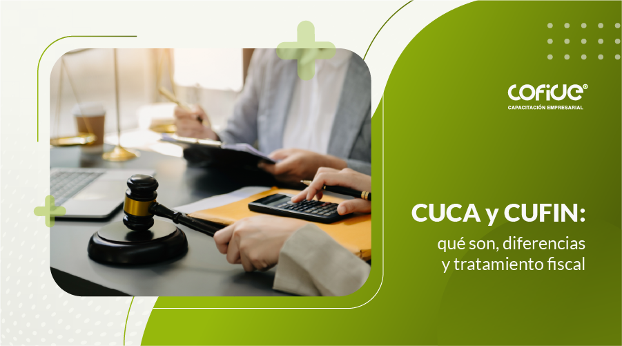 CUCA y CUFIN: qué son, diferencias y tratamiento fiscal