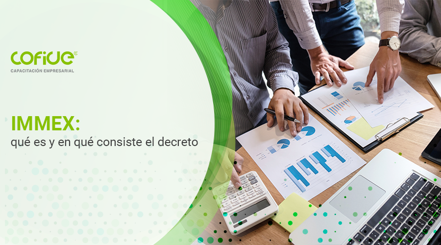 IMMEX: qué es y en qué consiste el decreto