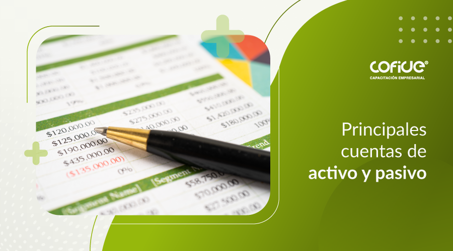 Principales cuentas de activo y pasivo