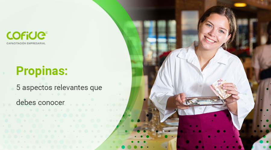 Propinas: 5 aspectos relevantes que debes conocer