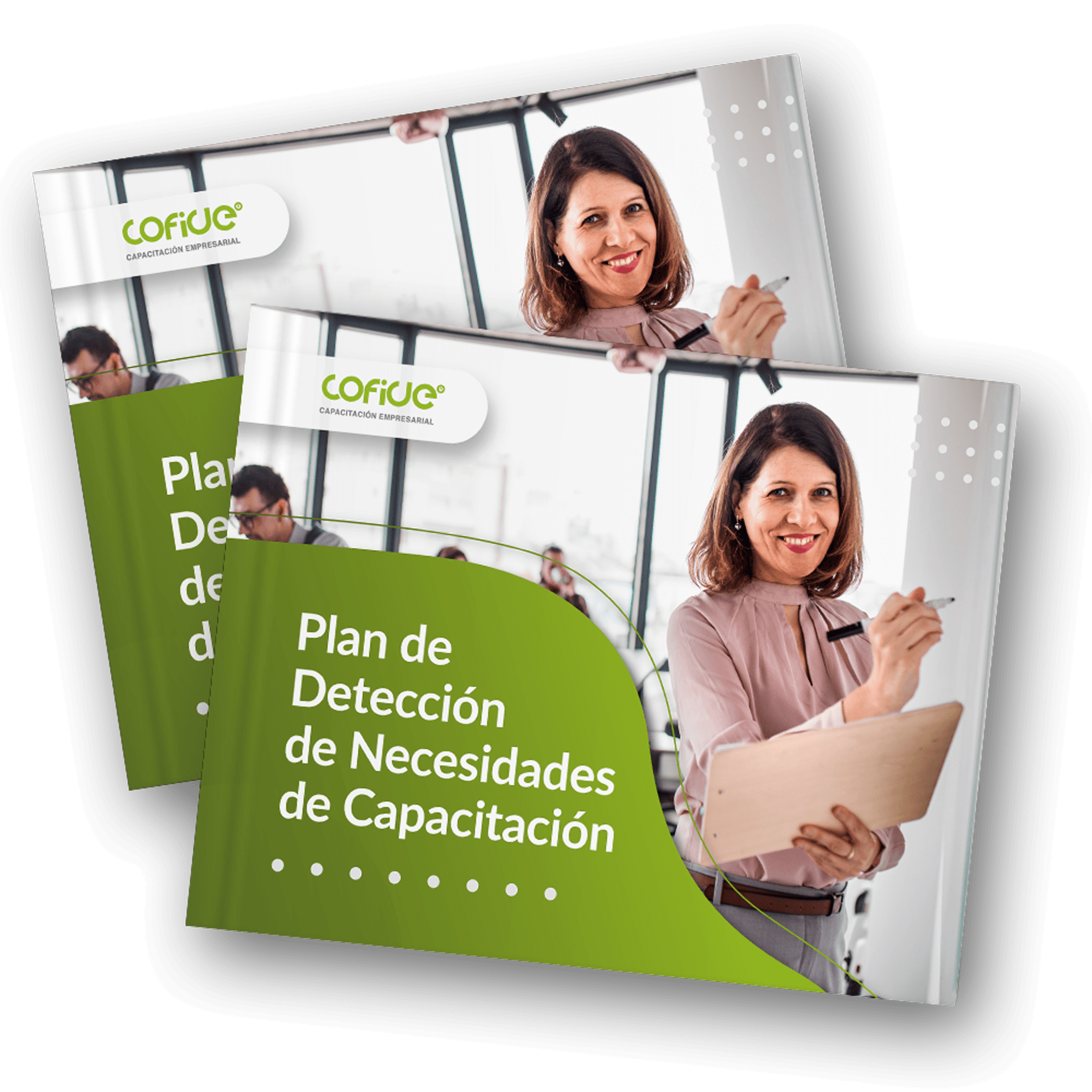plan-de-deteccioon-de-necesidades-de-capacitacion plan-de-deteccioon-de-necesidades-de-capacitacion